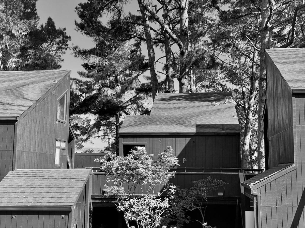 Marshall Lodge At Marconi מראה חיצוני תמונה